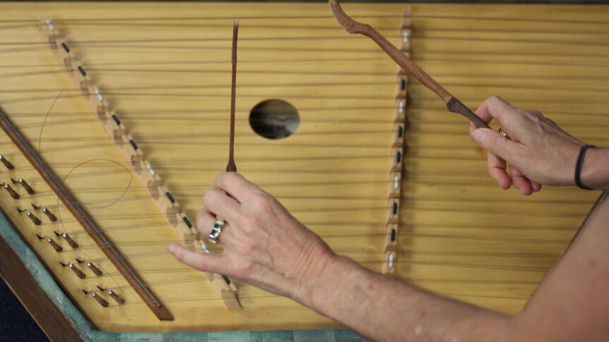 a string instrument and hands playing it