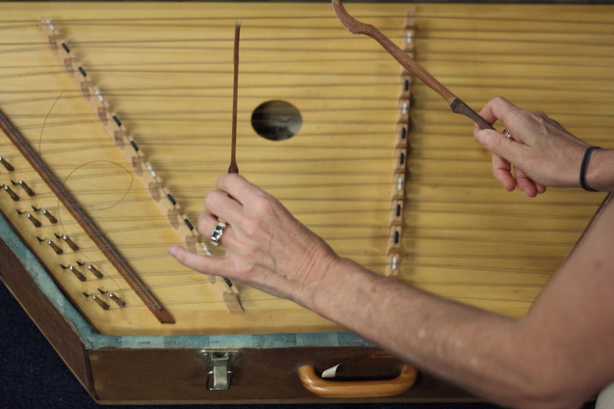 a string instrument and hands playing it