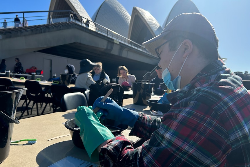 A young man with a cap and washing gloves on with the opera house sails in the background. 