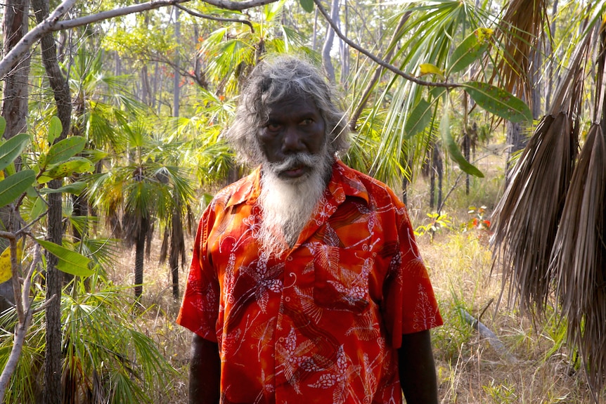 Mr Gurruwiwi walks in the bush.