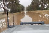 The bonnet of a four wheel drive as it moves along a flooded road.
