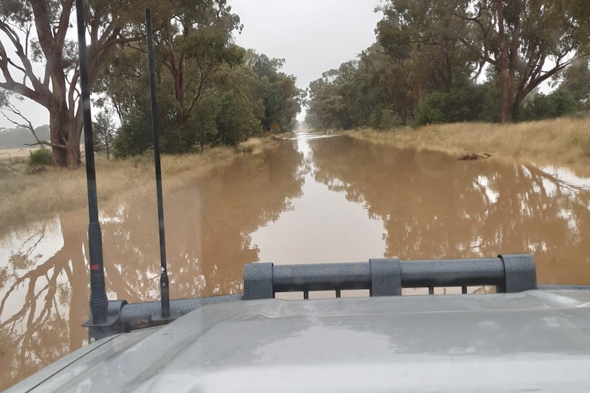 The bonnet of a four wheel drive as it moves along a flooded road.