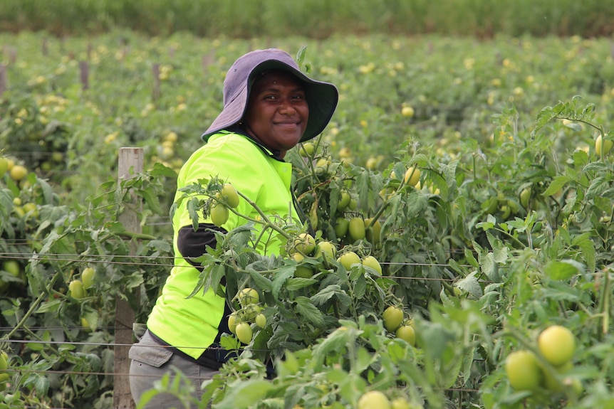A female farmworker smiles at the camera while standing in a field of tomatoes