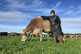 South Australian dairy farmer Lorraine Robertson in Allendale east