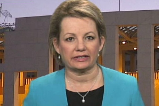 Sussan Ley