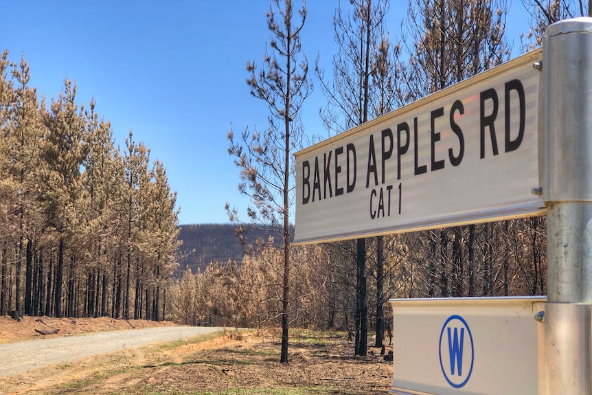 A street sign reading 'Baked Apples Road' with burnt trees in the background.