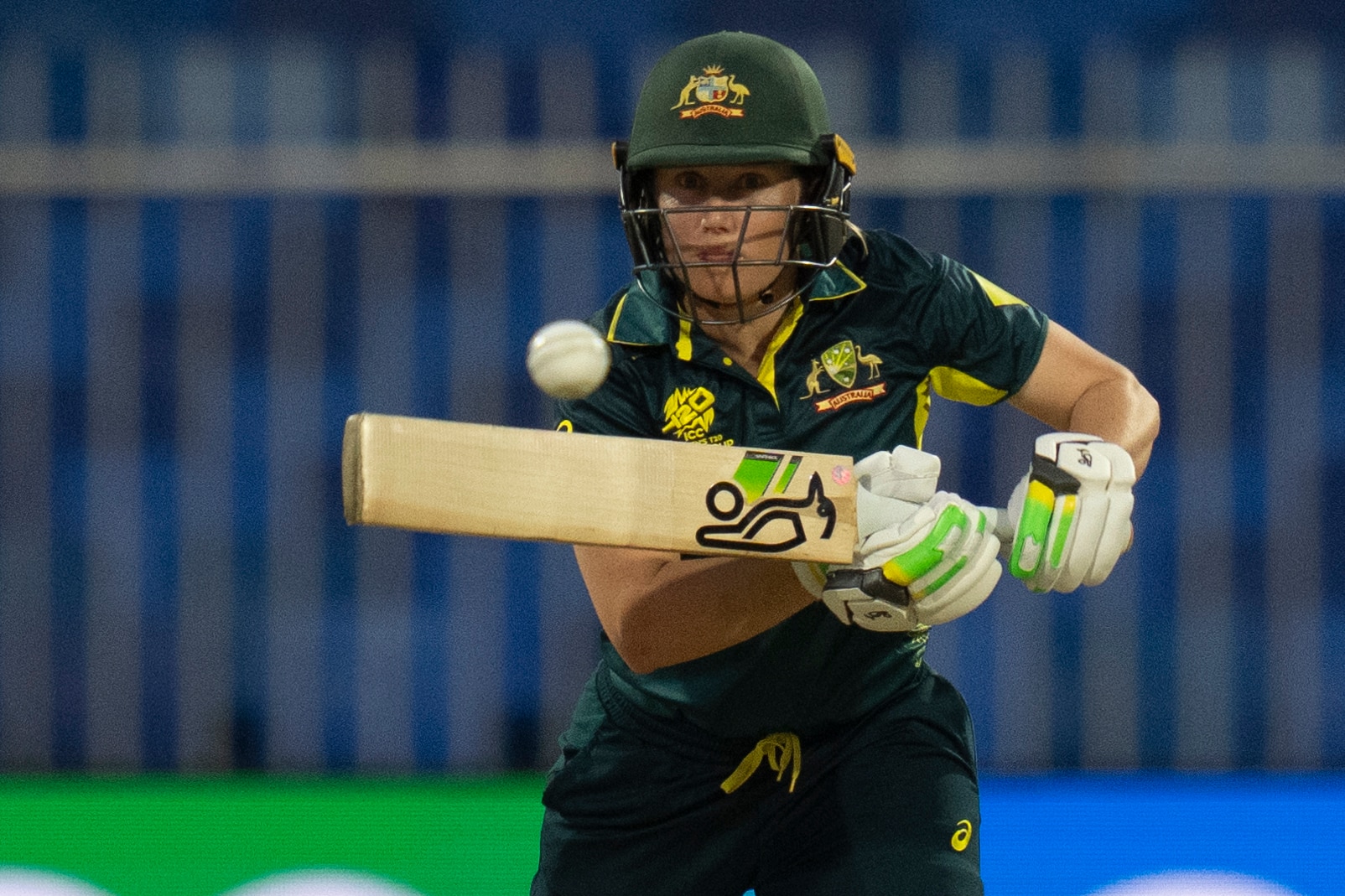 South Africa Women v TBC Women's T20 World Cup, Final Cricket Score Centre ABC News