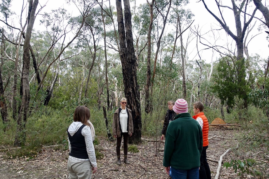 A group of people stand in a circle meditating in a forest