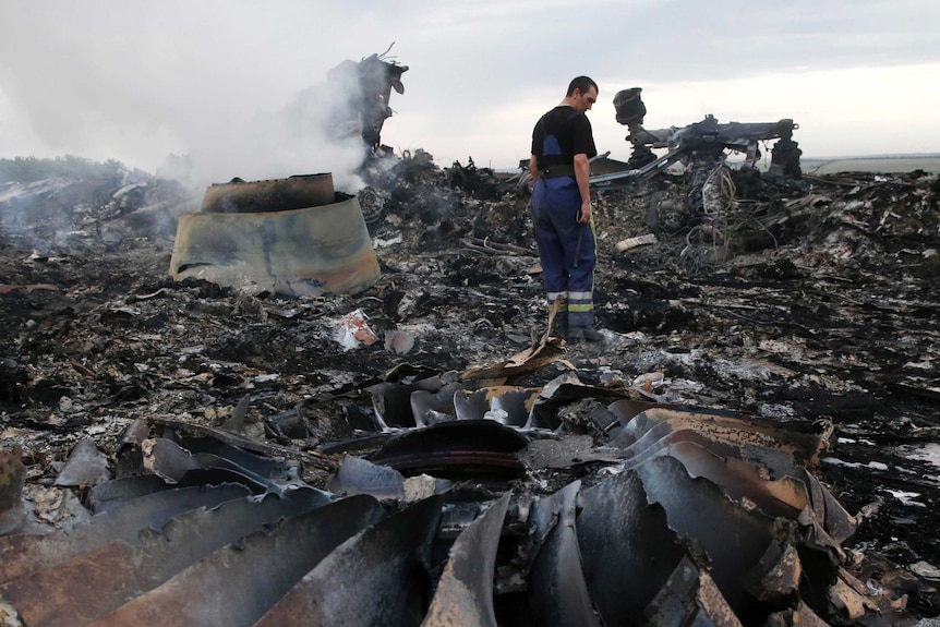 An emergency worker looks at the wreckage of the Malaysia Airlines plane.