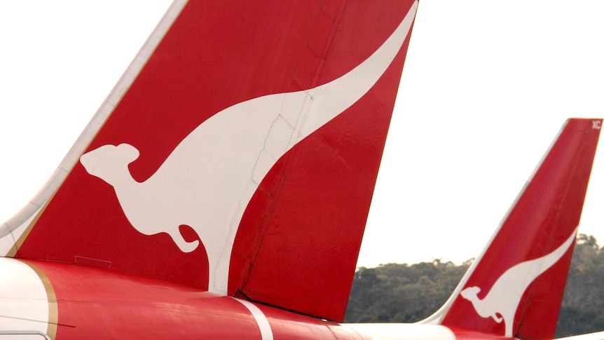 Qantas planes at an airport.