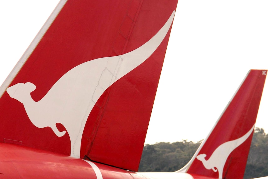 Qantas planes at an airport.