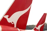 Qantas planes at an airport.