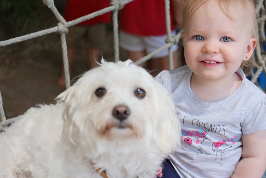 a young toddler with a white dog