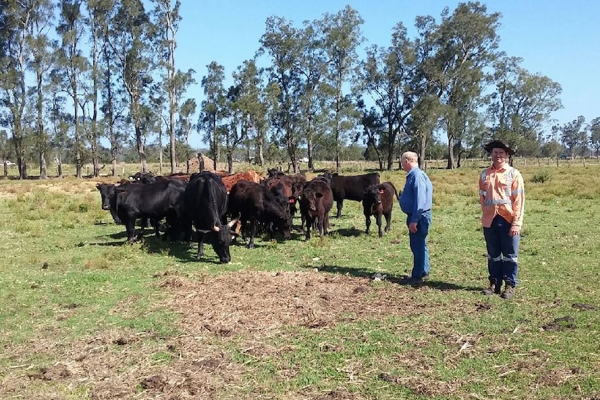 Len O'Connell (L) with son Mark on their Williamtown cattle farm.
