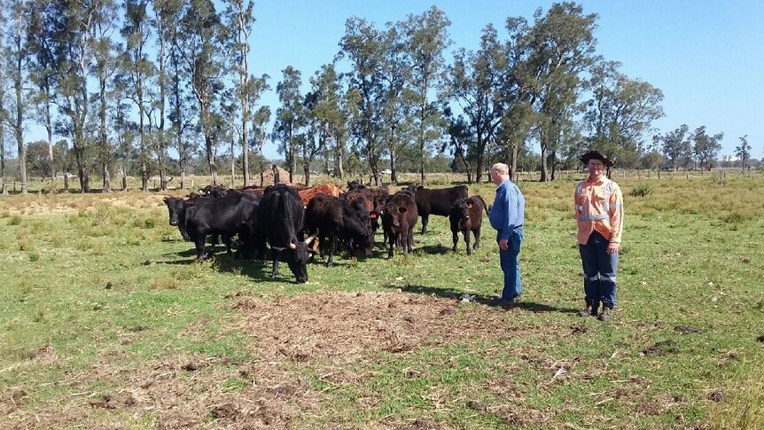 Len O'Connell (L) with son Mark on their Williamtown cattle farm.