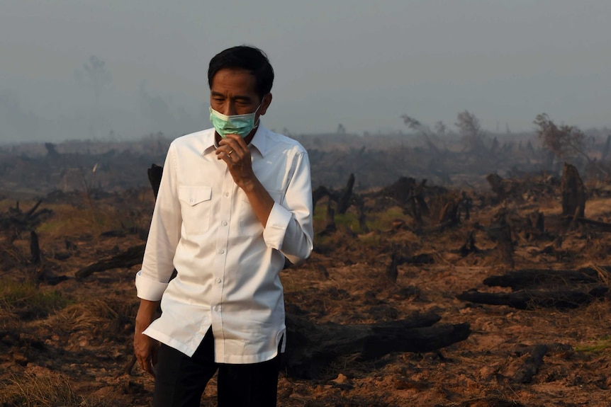 Indonesia's president tours source of Borneo fires