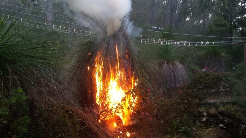 A build up of fuel loads at a property in the Perth Hills