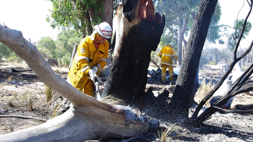 Firefighters hose down a burning tree near Harvey on Sunday.