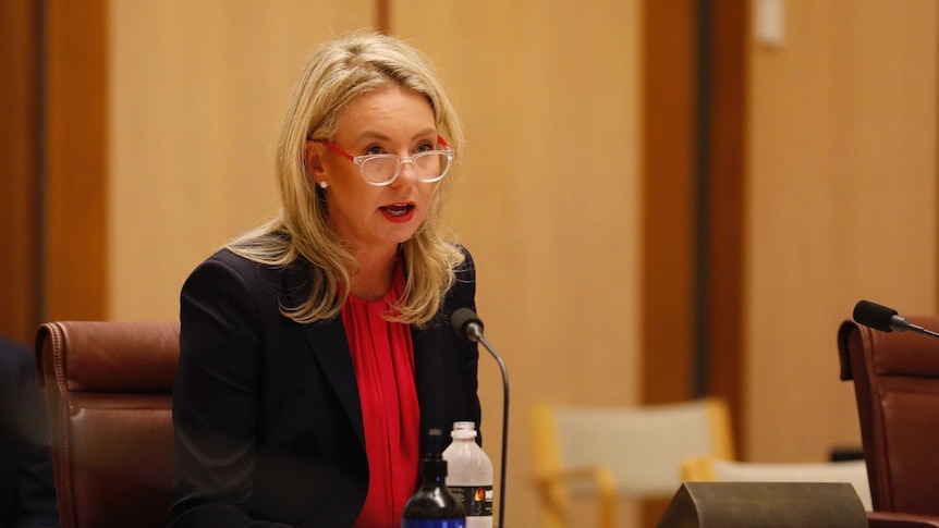 Bridget McKenzie sits at a table answering questions in a wood-panelled room