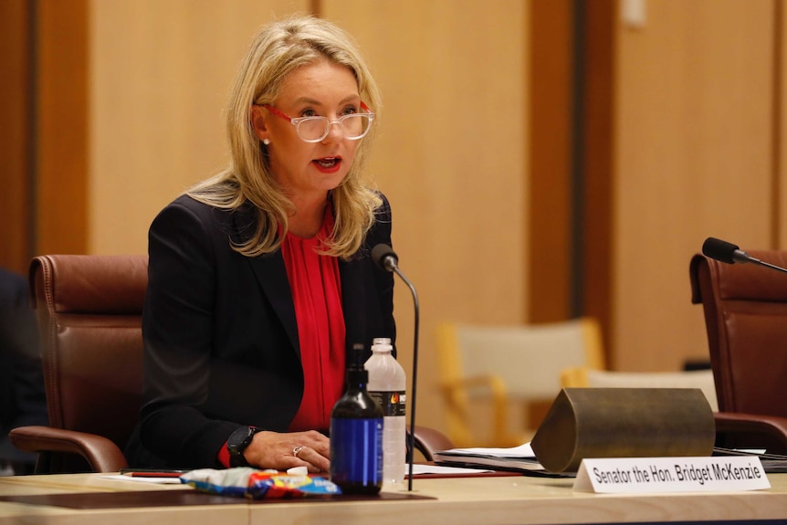 Bridget McKenzie sits at a table answering questions in a wood-panelled room