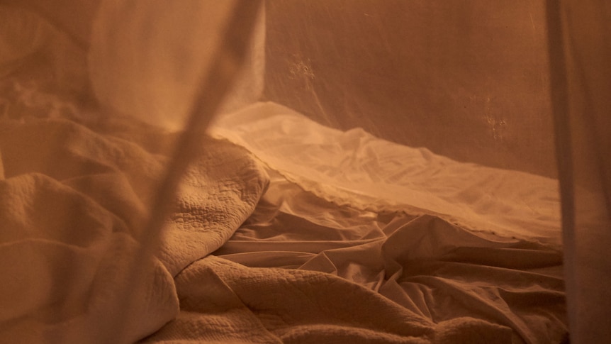 Viewing through opaque bedpost curtains, you see a bed with crumpled sheets at dusk. 