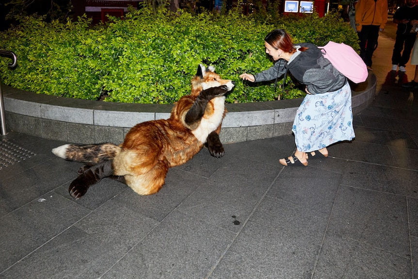 A person dressed as a fox lies on the pavement by some plants as they interact with a woman