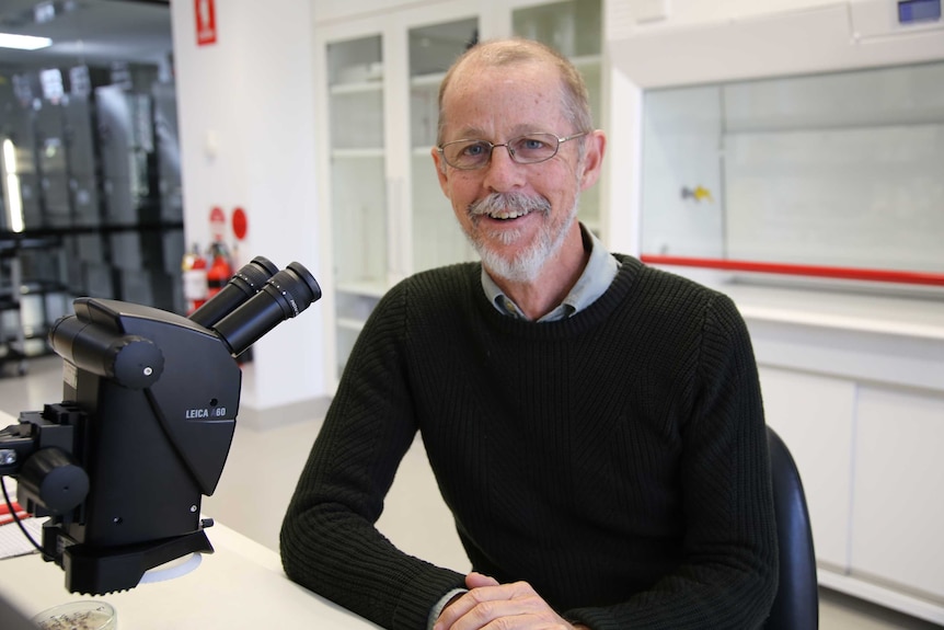 A man sits in a lab in front of a microscope