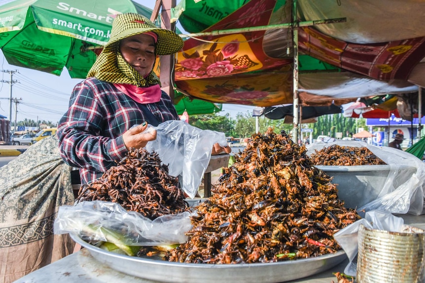 A woman in a hat sells fried spiders from a platter by the side of the road