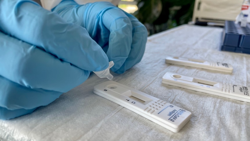 A close-up view of a white plastic rapid antigen test for COVID-19 held by hands in blue surgical gloves.