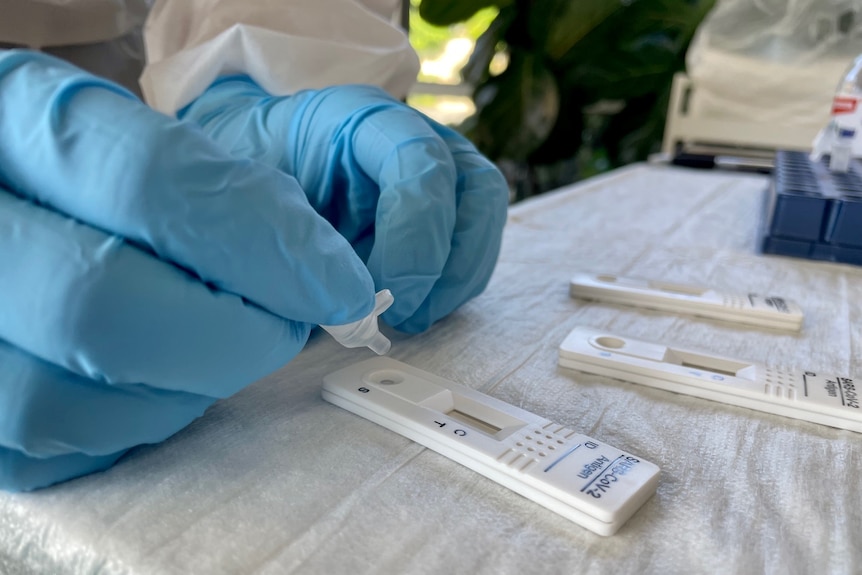 Close-up of a white plastic rapid antigen test for COVID-19 held by hands wearing blue surgical gloves.