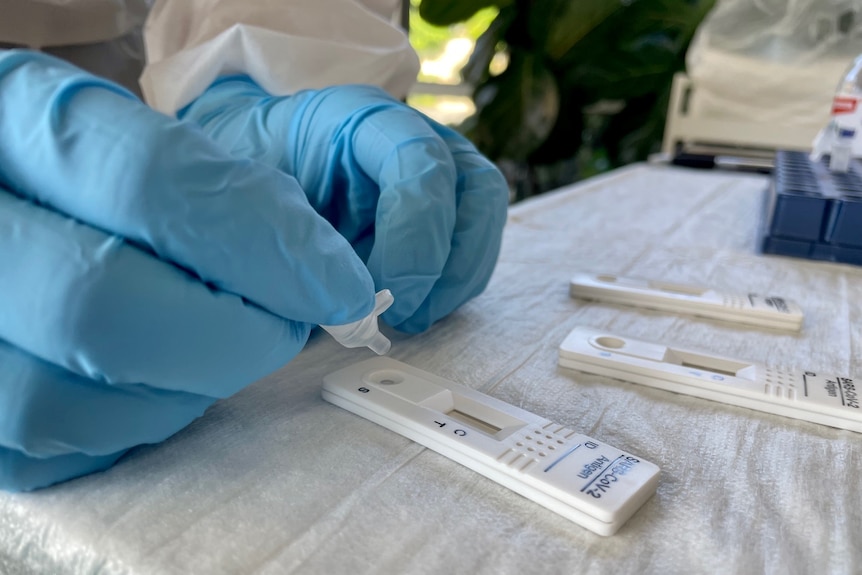 Vue rapprochée d'un test d'antigène rapide en plastique blanc pour COVID-19 tenu par les mains dans des gants chirurgicaux bleus.