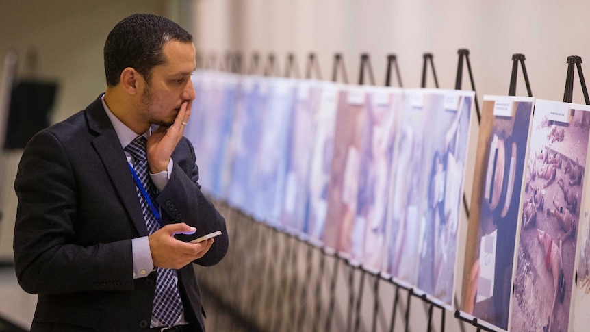 Man looks at collection of images of dead bodies