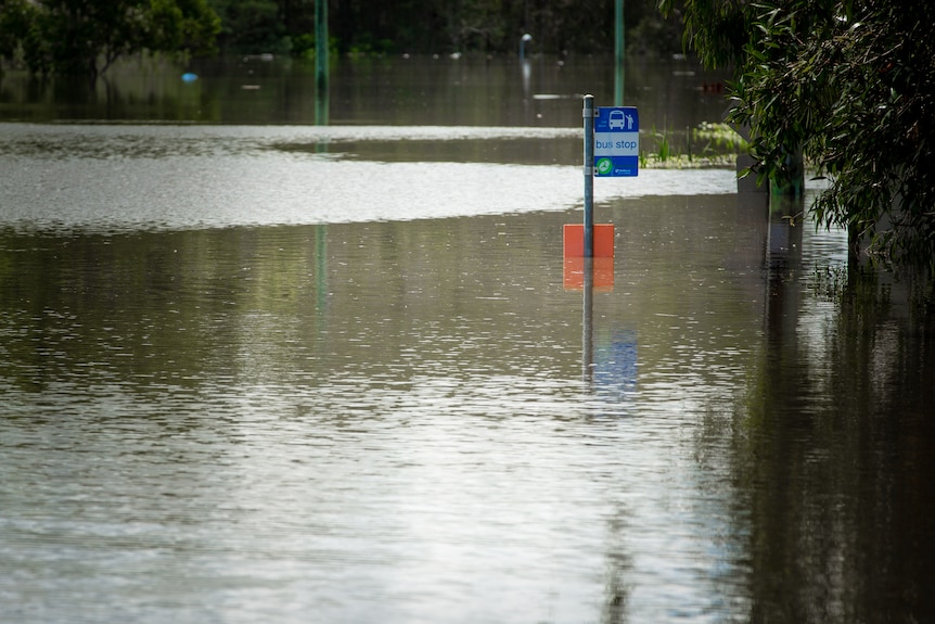 Trees and a bus stop sign can be seen sticking out of murky waters