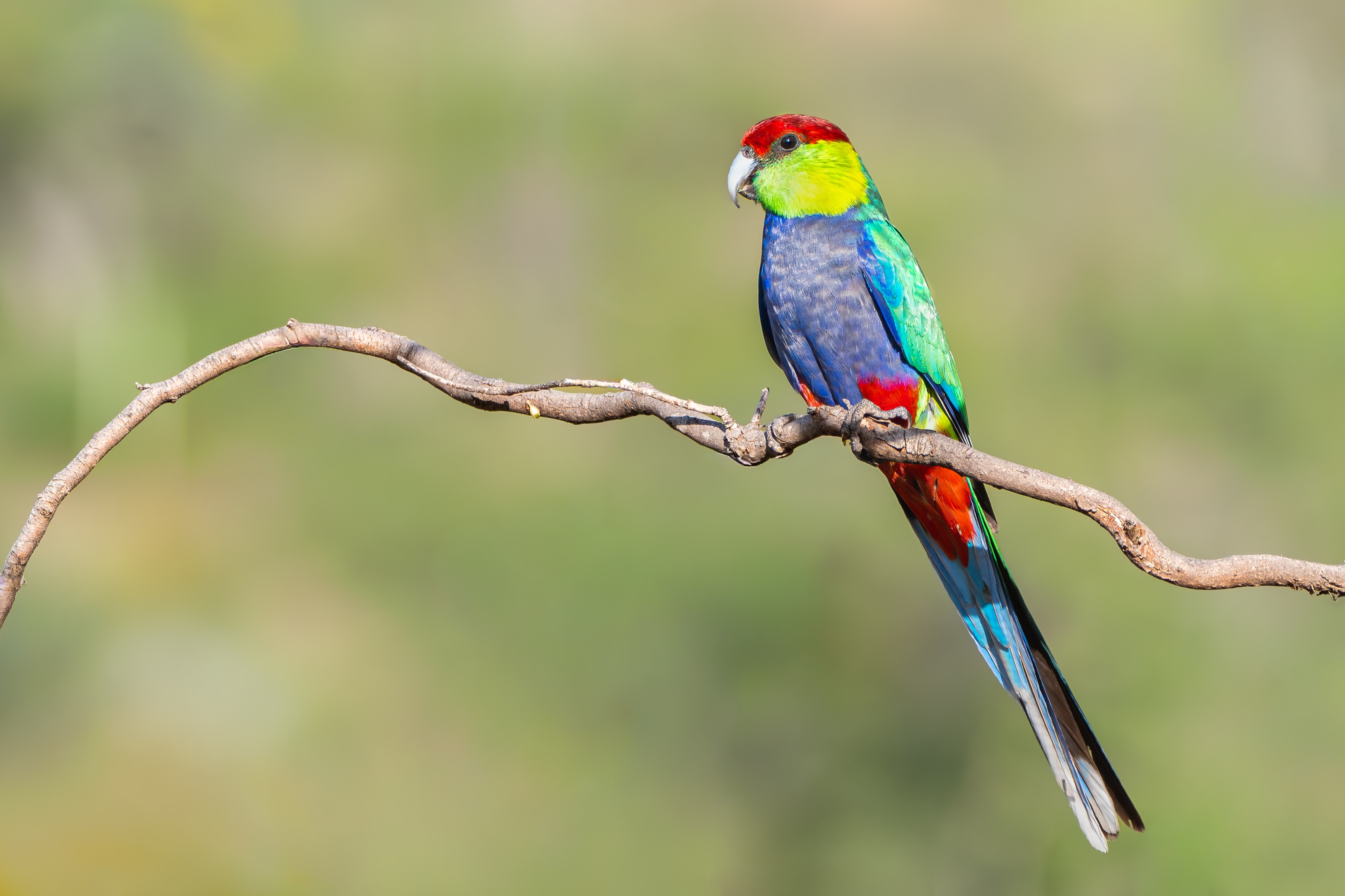 Tweet of the week, 26 April 2026