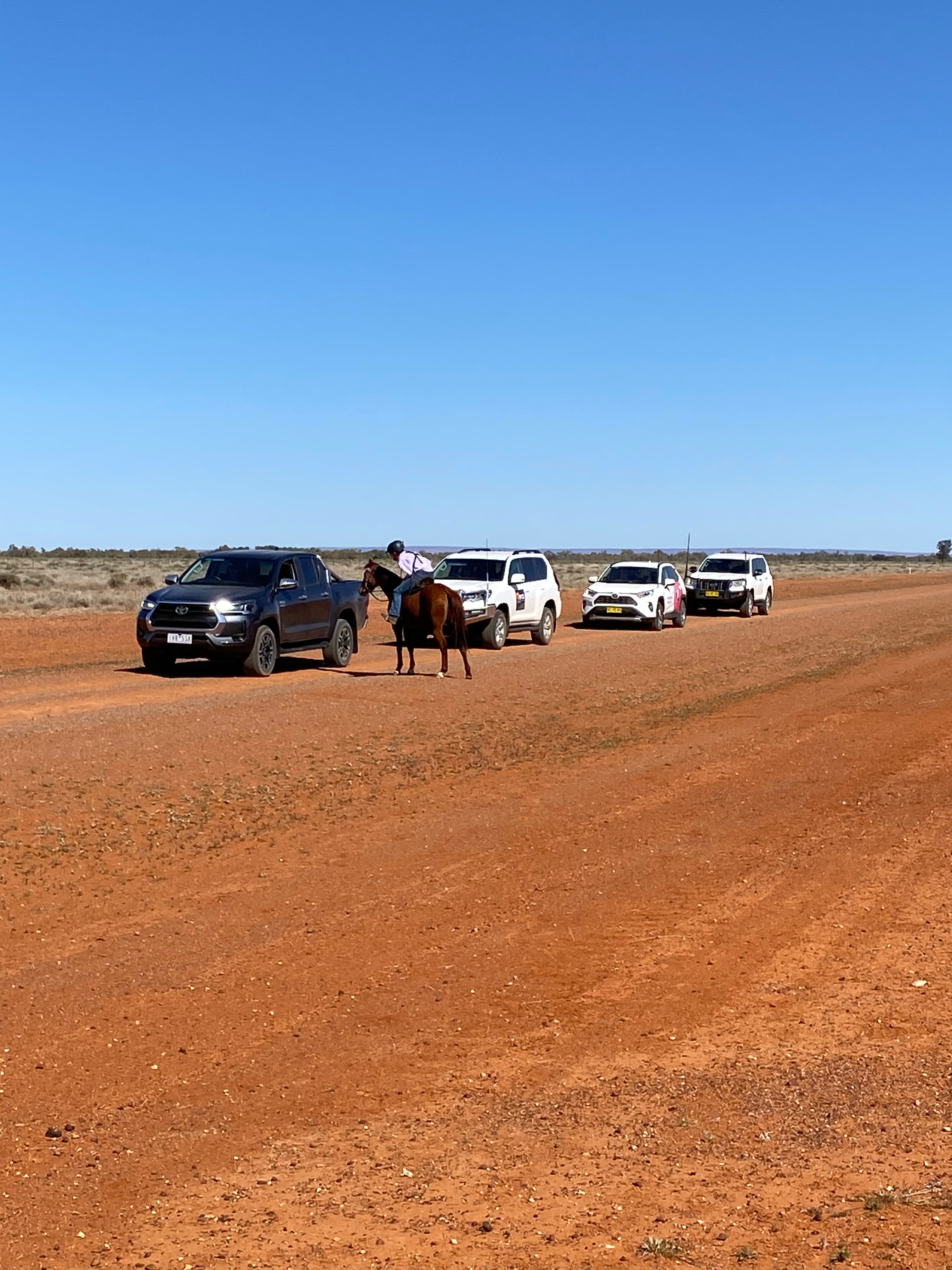 A woman on a horse next to four four-wheel drives on red dirt