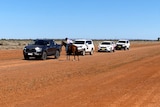 A woman on a horse next to four four-wheel drives on red dirt