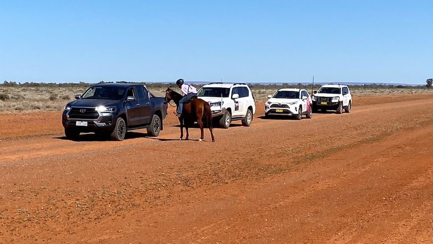A woman on a horse next to four four-wheel drives on red dirt