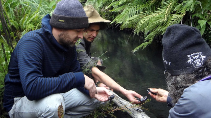 Wollangamber River inspection