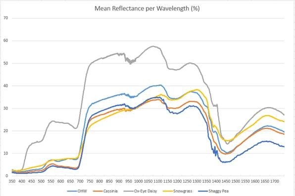 a line graph