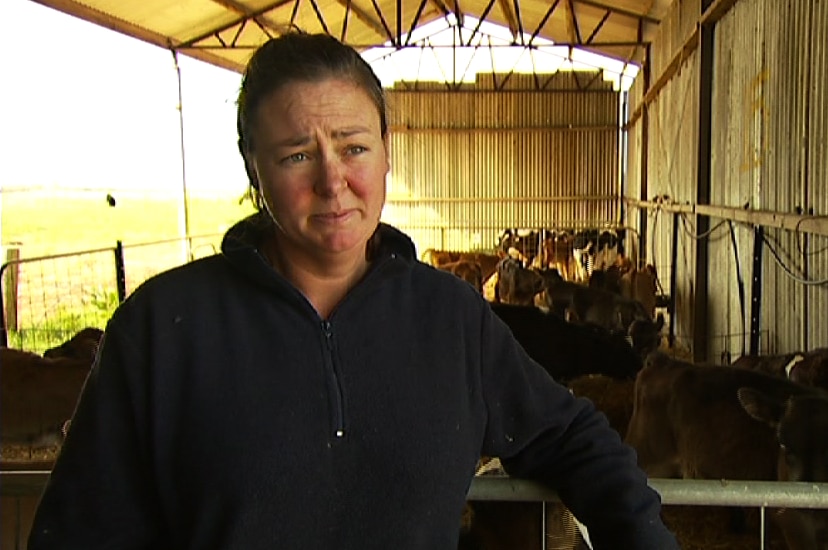 Dairy farmer Bec Casey talks to Landline