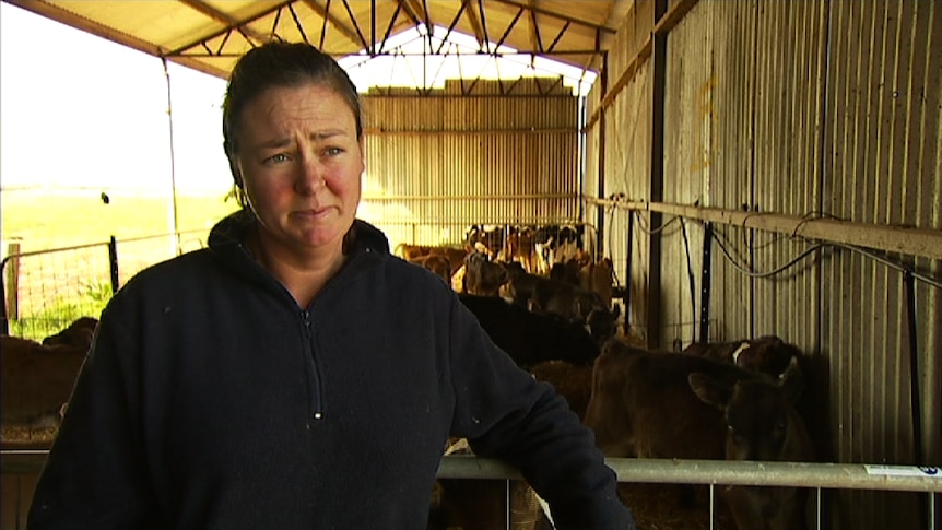 Dairy farmer Bec Casey talks to Landline