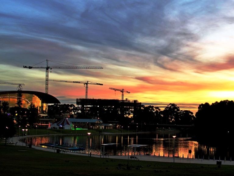 Cranes over Adelaide