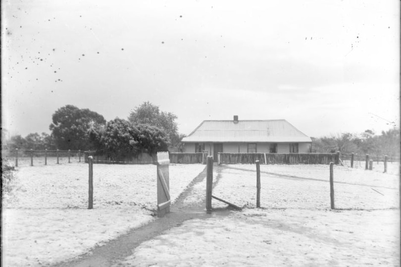 GRACEFIELD1908KOJONUP