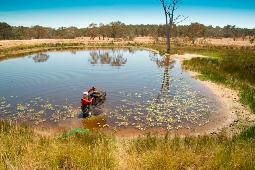 University of Canberra led research at Mulligans Flat