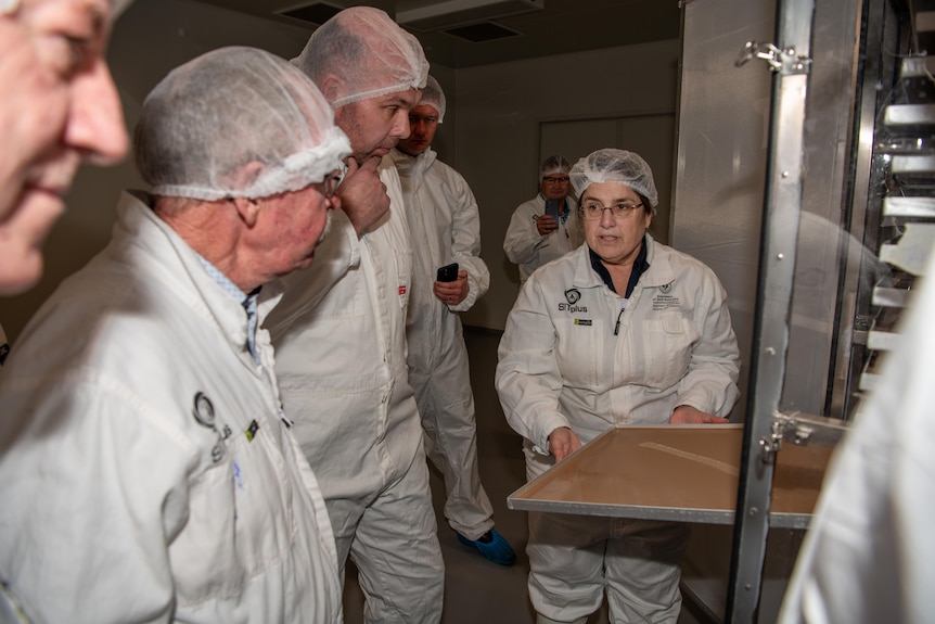 A group of people in bio-security suits looking at a tray of fruit flies. 