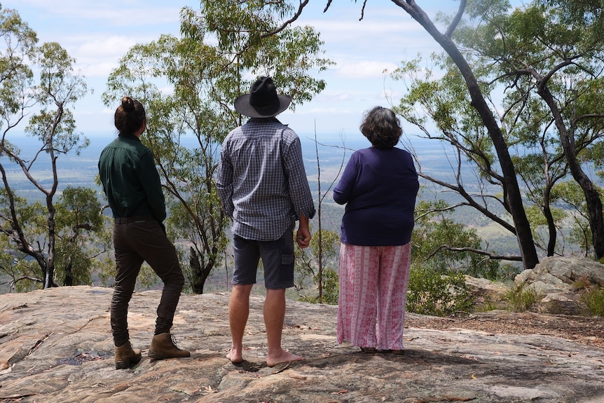 Three people with their backs facing the camera lookout to the flat below Blackdown Tablelands National Park.