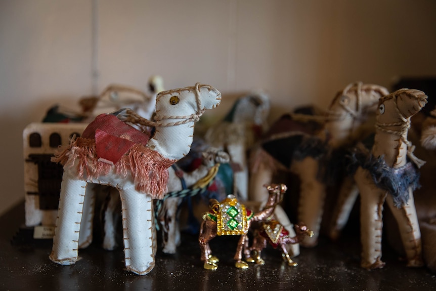 Camels on a shelf.