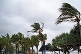 More than 500 homes were sandbagged in Yeppoon overnight.