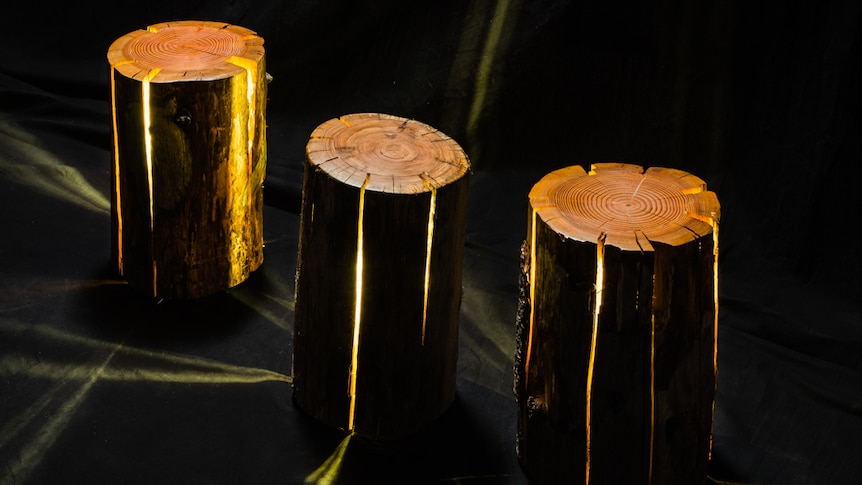 The cracked log lamps hold warm LED lights to create an illuminating effect.