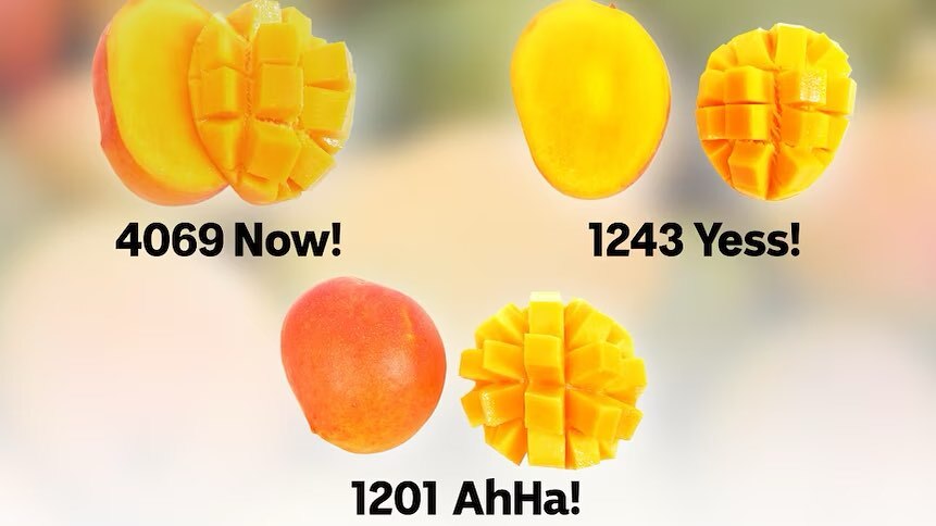 Three new varieties of mangoes shown with their names colour.